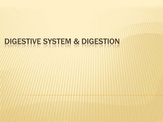 Digestive System & Digestion 