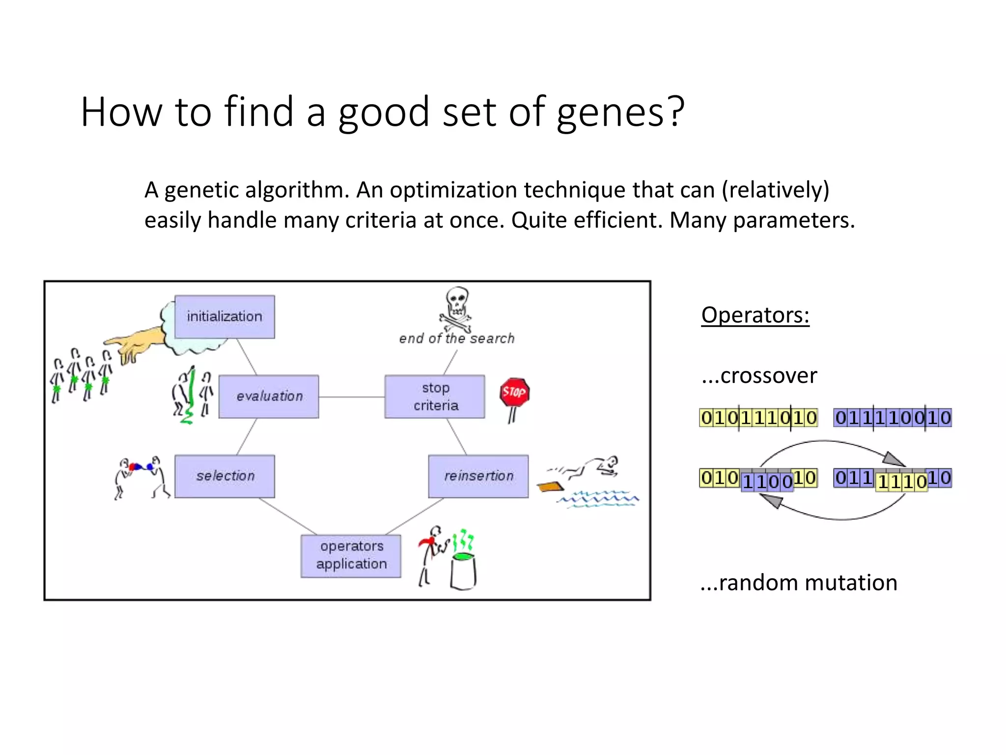 How to find a good set of genes?
A genetic algorithm. An optimization technique that can (relatively)
easily handle many criteria at once. Quite efficient. Many parameters.
Operators:
...crossover
...random mutation
 