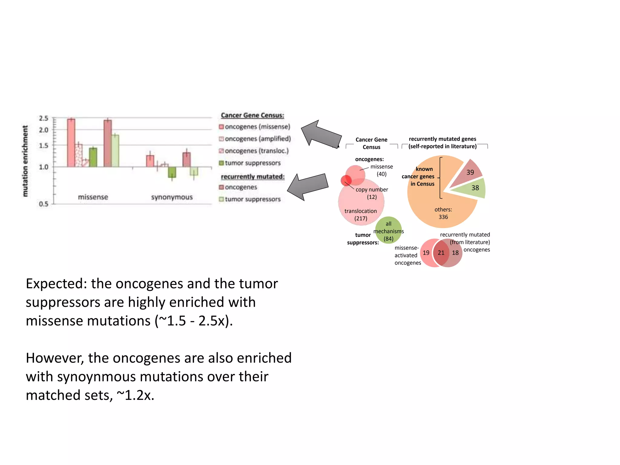 -0.5
-0.25
0
0.25
0.5
0.75
1
-1 -0.75 -0.5 -0.25 0 0.25 0.5 0.75 1
correlationtoPC2(24.3%)
correlation to PC1 (30.4 % variance)
carcinoma, 1Mb
non-carcinoma, 1Mb
pooled, 200kb
liver, 200kb
liver, 1Mb
breast, 1Mb
H3K9me3,
1Mb
GC3
RepliSeq,
1Mb
hypothalamus
liver
skeletal & heart muscle
6 tissues
regional mutation rates
mRNA levels
0
0.2
0.4
0.6
0.8
1
-2 0 2
D- = 0.224
P = 0.017
0
0.2
0.4
0.6
0.8
1
9
D
P
0
0.2
0.4
0.6
0.8
1
-2 0
0
0.2
0.4
0.6
0.8
1
9 19 29
D- = 0.256
P = 0.005
0
0.2
0.4
0.6
0.8
1
D+ =0.211
P = 0.026
earlylate
oncogenes:
translocation
(217)
missense
(40)
copy number
(12)
tumor
suppressors:
all
mechanisms
(84)
Cancer Gene
CensusA
recurrently mutated genes
(self-reported in literature)
matched sets of noncancer genes:
1517 genes (for oncogenes)
693 genes (for tumor suppressors)
B
known
cancer genes
in Census
others:
336
39
38
C
# mutations per 200 kb
(110 cancers, pooled tissues)
heterochromatin (H3K9me3
levels in 1 MB windows)
replication timing (RepliSeq
signal in 1 MB windows)
mRNA levels, avg. of 6 tissues
# mutatio
(110 cancers
heterochrom
levels in 1
replication t
signal in 1
mRNA levels,
0
0.2
0.4
0.6
0.8
1
0
0.2
0.4
0.6
0.8
1
0.1
D+ =
P = 0
39 oncogenes (recurrently mutated)
38 tumor suppressors (recurr. mutated)
D
19 1821
missense-
activated
oncogenes
recurrently mutated
(from literature)
oncogenes
0
0.2
0.4
0.6
0.8
1
0.1 0.3 0.5
D- = 0.185
P = 0.061
Expected: the oncogenes and the tumor
suppressors are highly enriched with
missense mutations (~1.5 - 2.5x).
However, the oncogenes are also enriched
with synoynmous mutations over their
matched sets, ~1.2x.
 