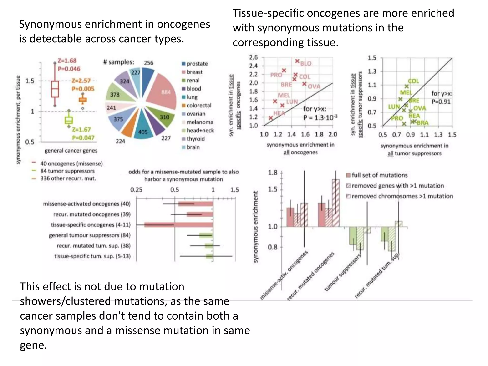 Tissue-specific oncogenes are more enriched
with synonymous mutations in the
corresponding tissue.
This effect is not due to mutation
showers/clustered mutations, as the same
cancer samples don't tend to contain both a
synonymous and a missense mutation in same
gene.
Synonymous enrichment in oncogenes
is detectable across cancer types.
 