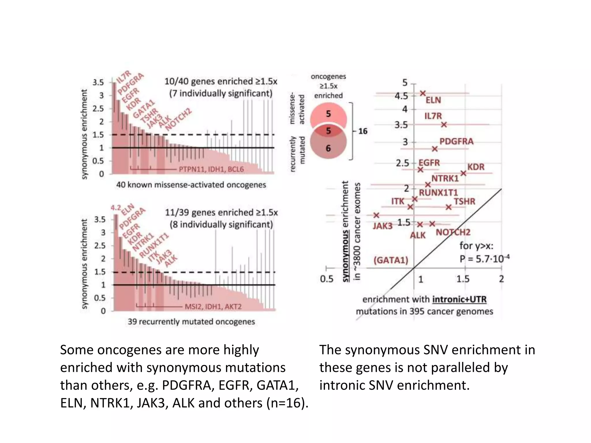 Some oncogenes are more highly
enriched with synonymous mutations
than others, e.g. PDGFRA, EGFR, GATA1,
ELN, NTRK1, JAK3, ALK and others (n=16).
The synonymous SNV enrichment in
these genes is not paralleled by
intronic SNV enrichment.
 