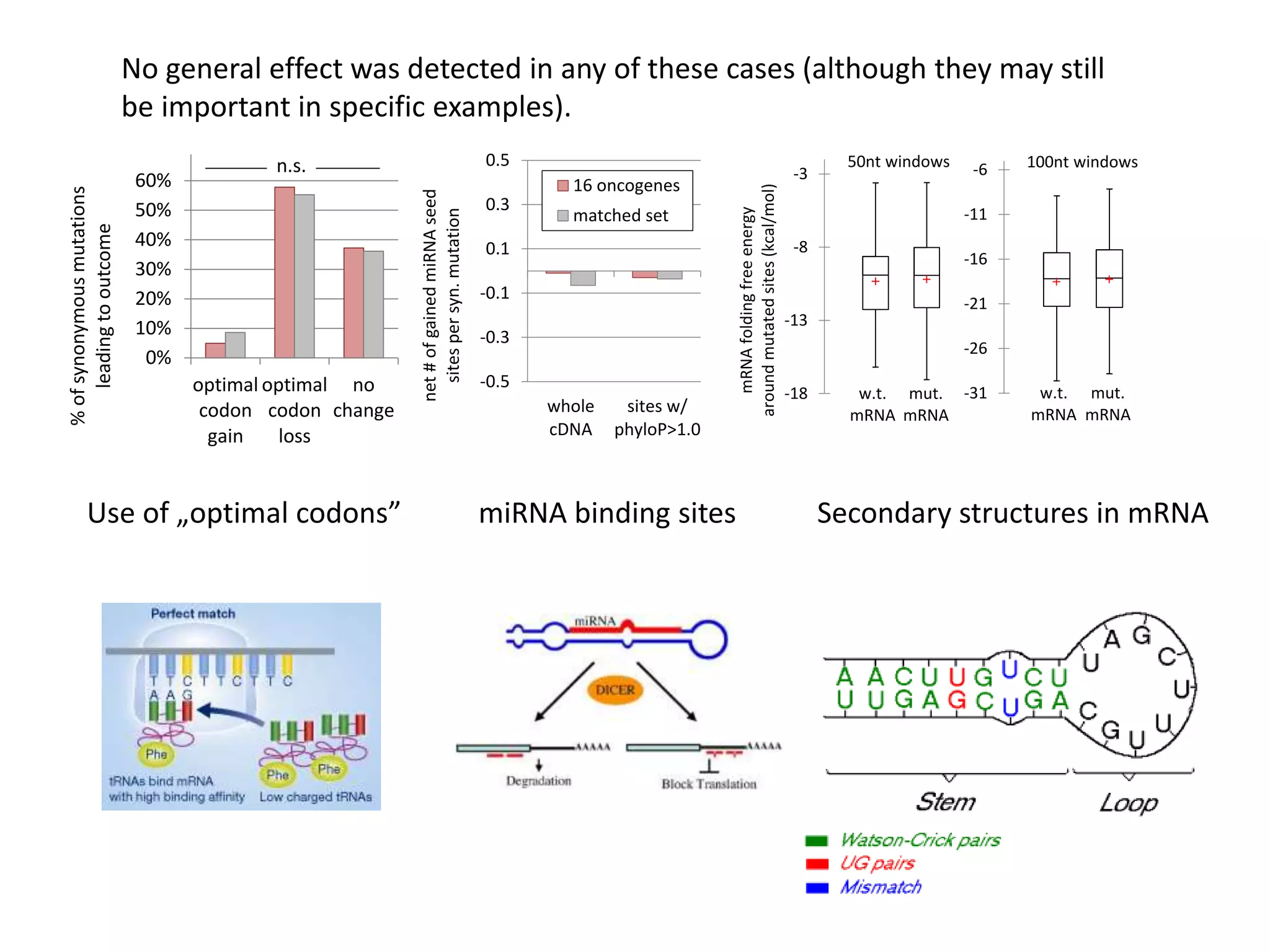 0%
10%
20%
30%
40%
50%
60%
optimal
codon
gain
optimal
codon
loss
no
change
%ofsynonymousmutations
leadingtooutcome
n.s.
-18
-13
-8
-3
mRNAfoldingfreeenergy
aroundmutatedsites(kcal/mol)
50nt windows
w.t.
mRNA
mut.
mRNA
-31
-26
-21
-16
-11
-6 100nt windows
w.t.
mRNA
mut.
mRNA
0%
10%
20%
30%
40%
≤30 nt 31-70
nt
>70 nt
p < 10-4
1.75
1.26
0.45
-2
-1
0
1
2
1 2 3 4 5 6 7
log2RPKMofexon
exon # in transcript ENST00000334286
30 random samples w/o point mutations
6 samples w/ synonymous exonic mutations
EDNRB gene,
colorectal cancer
-0.5
-0.3
-0.1
0.1
0.3
0.5
whole
cDNA
sites w/
phyloP>1.0net#ofgainedmiRNAseed
sitespersyn.mutation
16 oncogenes
matched set
-0.3 -0.2 -0.1 0 0.1 0.2
normalized difference (Glass' delta) between properties
of mutated positions in oncogenes vs. matched set
Relative preference value at C-cap (of α helices)
Normalized frequency of turn in all-α class
Alpha-helix indices for α-proteins t-test
FDR
0%
10%
20%
30%
enh.
gain
enh.
loss
sil.
gain
sil.
loss
%syn.mutations(within30nt
ofsplicesite)leadingtoevent
Ke et al. 2012 hexamers
1.53
0.83
0.60
1.90
p = 0.02
enh.
gain
enh.
loss
RESCUE-ESE
p = 0.003
1.90
0.53
sil.
gain
sil.
loss
FAS-hex2
p = 3·10-4
0.37
2.73
A B C
D E
G
F
10%
20%
p=0.05
n.s.
n.s.
1.43
1.12
0.79
20%
30%
40%
50%
actual
synonymous
mutations
randomized
mutation
H
Use of „optimal codons” miRNA binding sites Secondary structures in mRNA
No general effect was detected in any of these cases (although they may still
be important in specific examples).
 