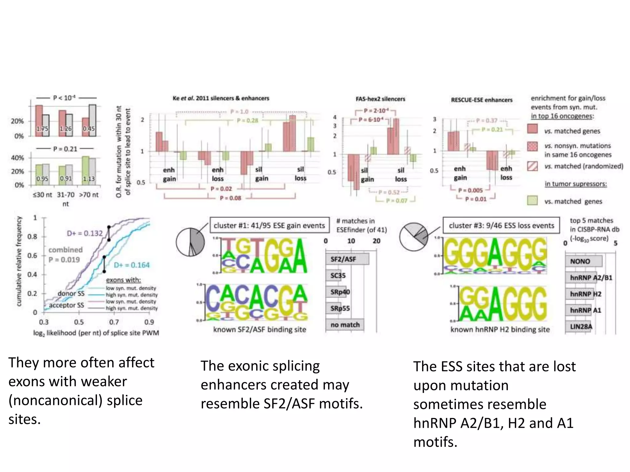They more often affect
exons with weaker
(noncanonical) splice
sites.
The exonic splicing
enhancers created may
resemble SF2/ASF motifs.
The ESS sites that are lost
upon mutation
sometimes resemble
hnRNP A2/B1, H2 and A1
motifs.
 