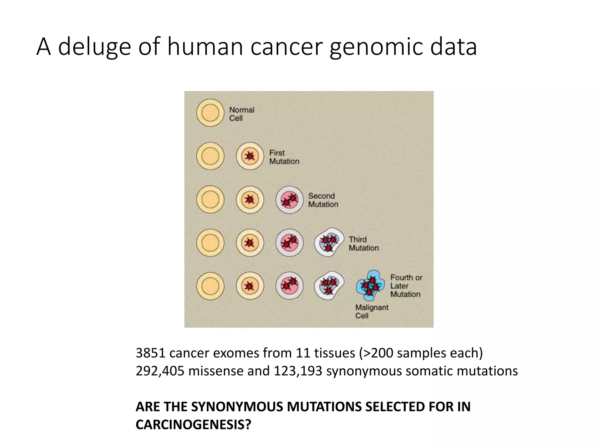 A deluge of human cancer genomic data
3851 cancer exomes from 11 tissues (>200 samples each)
292,405 missense and 123,193 synonymous somatic mutations
ARE THE SYNONYMOUS MUTATIONS SELECTED FOR IN
CARCINOGENESIS?
 