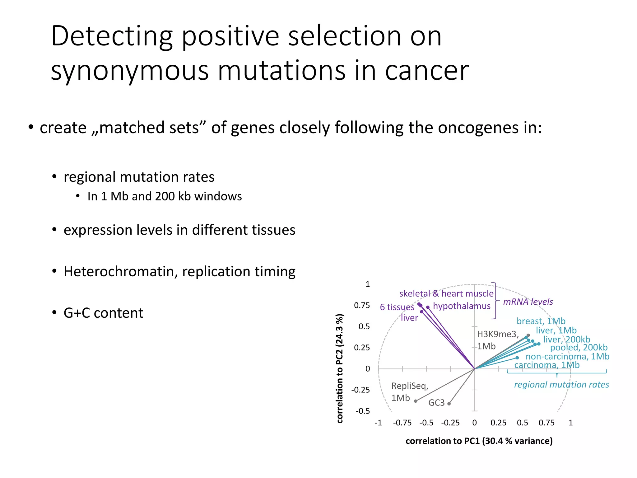 -0.5
-0.25
0
0.25
0.5
0.75
1
-1 -0.75 -0.5 -0.25 0 0.25 0.5 0.75 1
correlationtoPC2(24.3%)
correlation to PC1 (30.4 % variance)
carcinoma, 1Mb
non-carcinoma, 1Mb
pooled, 200kb
liver, 200kb
liver, 1Mb
breast, 1Mb
H3K9me3,
1Mb
GC3
RepliSeq,
1Mb
hypothalamus
liver
skeletal & heart muscle
6 tissues
regional mutation rates
mRNA levels
1
0
0.2
0.4
0.6
0.8
1
0
0.2
0.4
0.6
0.8
1
oncogenes:
translocation
(217)
missense
(40)
copy number
(12)
tumor
suppressors:
all
mechanisms
(84)
Cancer Gene
CensusA
recurrently mutated genes
(self-reported in literature)
B
known
cancer genes
in Census
others:
336
39
38
#
(11
het
le
rep
s
19 1821
missense-
activated
oncogenes
recurrently mutated
(from literature)
oncogenes
0
0.2
0.4
0.6
0.8
1
0
Detecting positive selection on
synonymous mutations in cancer
• create „matched sets” of genes closely following the oncogenes in:
• regional mutation rates
• In 1 Mb and 200 kb windows
• expression levels in different tissues
• Heterochromatin, replication timing
• G+C content
 