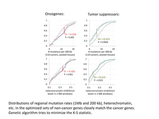 carcinoma, 1Mb
non-carcinoma, 1Mb
pooled, 200kb
liver, 200kb
liver, 1Mb
breast, 1Mb
H3K9me3,
1Mb
alamus
muscle
regional mutation rates
mRNA levels
0
0.2
0.4
0.6
0.8
1
9 19 29
D+ = 0.313
P = 0.0004
0
0.2
0.4
0.6
0.8
1
9 19 29
D- = 0.256
P = 0.005
0.2
0.4
0.6
0.8
1
D+ =0.211
P = 0.026
recurrently mutated genes
(self-reported in literature)
known
ncer genes
in Census
others:
336
39
38
C
# mutations per 200 kb
(110 cancers, pooled tissues)
heterochromatin (H3K9me3
levels in 1 MB windows)
# mutations per 200 kb
(110 cancers, pooled tissues)
heterochromatin (H3K9me3
levels in 1 MB windows)
0.2
0.4
0.6
0.8
1
D- = 0.199
P = 0.043
0
0.2
0.4
0.6
0.8
1
0.1 0.3 0.5
D+ = 0.215
P = 0.025
D
19 1821
nse-
ted
enes
recurrently mutated
(from literature)
oncogenes
0
0.2
0.4
0.6
0.8
1
0.1 0.3 0.5
D- = 0.185
P = 0.061
Oncogenes: Tumor suppressors:
Distributions of regional mutation rates (1Mb and 200 kb), heterochromatin,
etc. in the optimized sets of non-cancer genes closely match the cancer genes.
Genetic algorithm tries to minimize the K-S statistic.
 