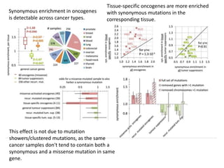 Tissue-specific oncogenes are more enriched
with synonymous mutations in the
corresponding tissue.
This effect is not due to mutation
showers/clustered mutations, as the same
cancer samples don't tend to contain both a
synonymous and a missense mutation in same
gene.
Synonymous enrichment in oncogenes
is detectable across cancer types.
 