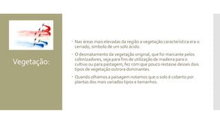 Vegetação:
 Nas áreas mais elevadas da região a vegetação característica era o
cerrado, símbolo de um solo ácido.
 O desmatamento da vegetação original, que foi marcante pelos
colonizadores, seja para fins de utilização de madeira para o
cultivo ou para pastagem, fez com que pouco restasse desses dois
tipos de vegetação outrora dominantes.
 Quando olhamos a paisagem notamos que o solo é coberto por
plantas dos mais variados tipos e tamanhos.
 