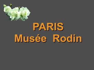 PARIS Musée  Rodin 