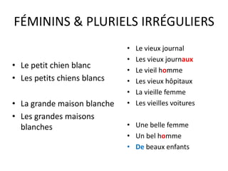 FÉMININS & PLURIELS IRRÉGULIERS
• Le petit chien blanc
• Les petits chiens blancs
• La grande maison blanche
• Les grandes maisons
blanches
• Le vieux journal
• Les vieux journaux
• Le vieil homme
• Les vieux hôpitaux
• La vieille femme
• Les vieilles voitures
• Une belle femme
• Un bel homme
• De beaux enfants
 