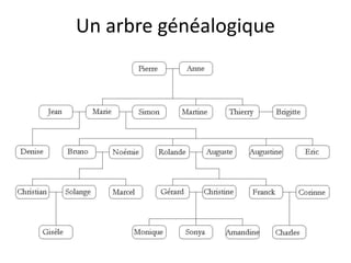Un arbre généalogique
 