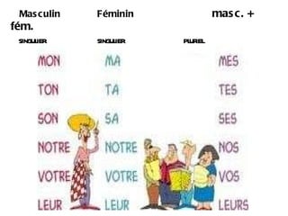 Masculin Féminin masc. + fém.     singulier singulier pluriel 