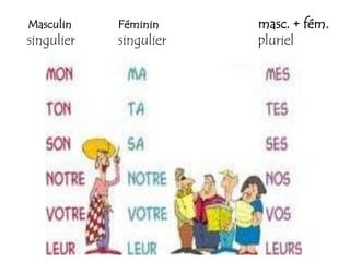 Masculin    Féminin     masc. + fém.
singulier   singulier   pluriel
 