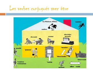 Les verbes conjugués avec être
 