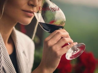 Enologia
 