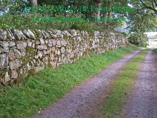 Arte dos Muros de Pedra Bruta,
Conhecimento e Técnicas
 