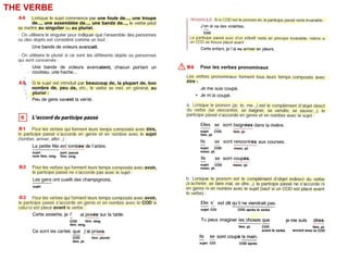 THE VERBE
WHAT IS A VERB? HOW DO WE CONJUGATE A VERB?
 