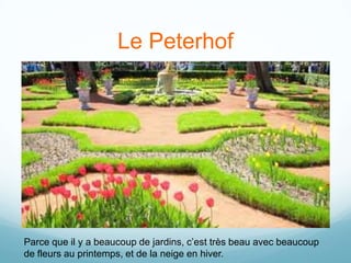 Le Peterhof




Parce que il y a beaucoup de jardins, c’est très beau avec beaucoup
de fleurs au printemps, et de la neige en hiver.
 