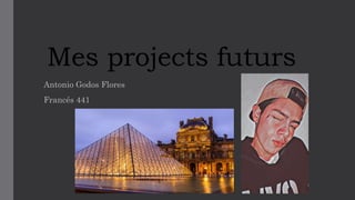 Mes projects futurs
Antonio Godos Flores
Francés 441
 