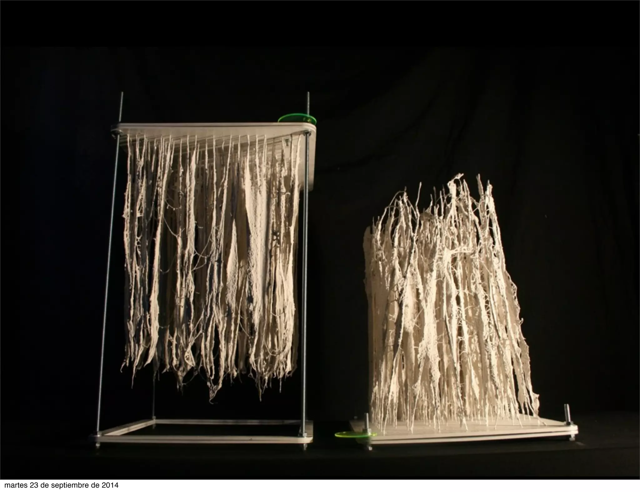 martes 23 de septiembre de 2014 
 