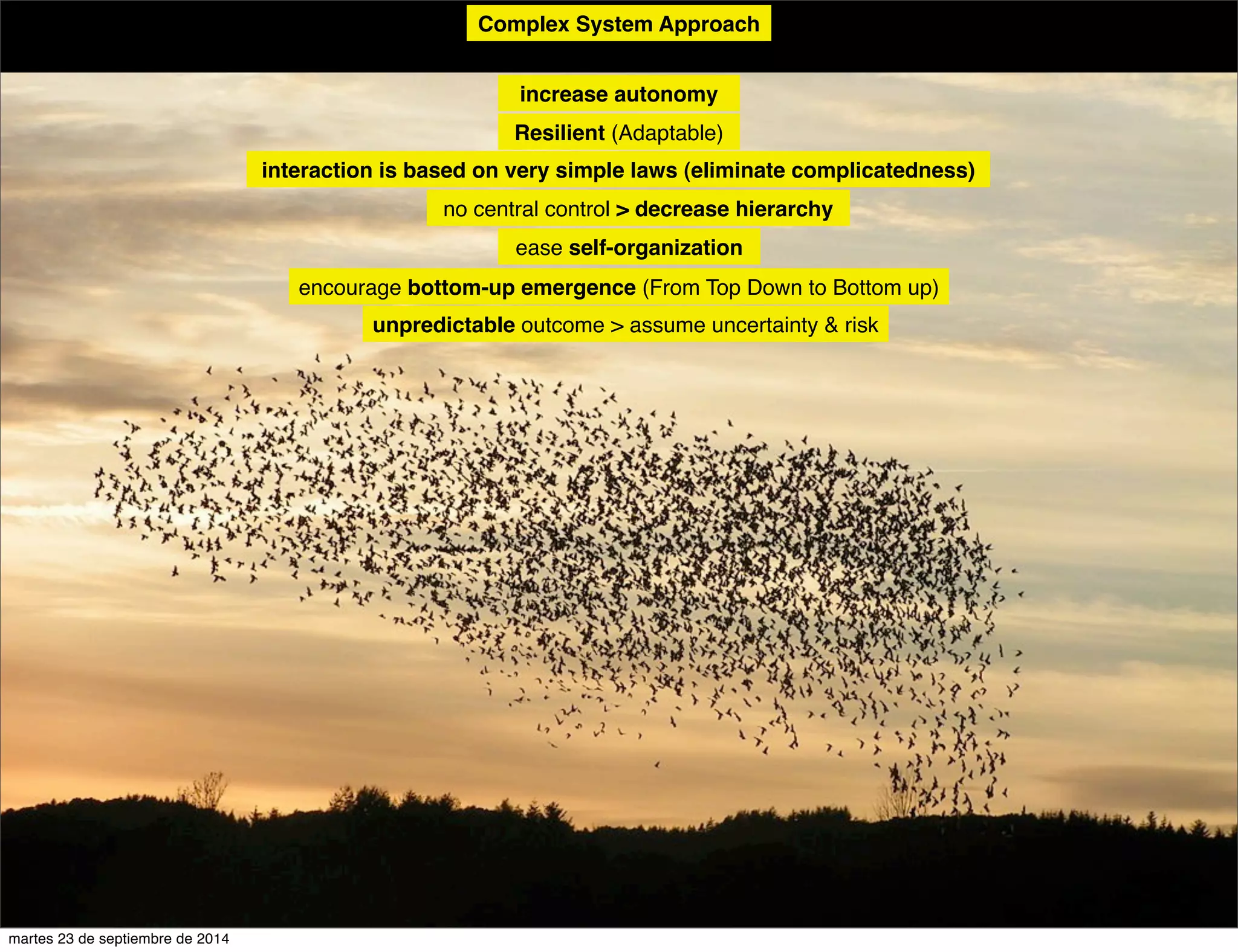 Complex System Approach 
increase autonomy 
Resilient (Adaptable) 
interaction is based on very simple laws (eliminate complicatedness) 
no central control > decrease hierarchy 
ease self-organization 
encourage bottom-up emergence (From Top Down to Bottom up) 
unpredictable outcome > assume uncertainty & risk 
martes 23 de septiembre de 2014 
 
