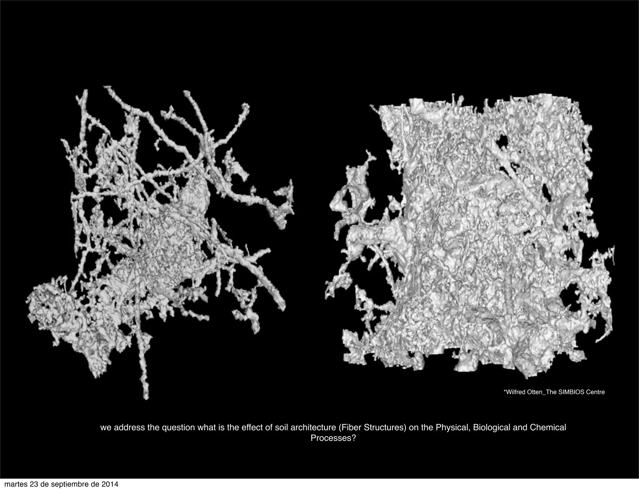 we address the question what is the effect of soil architecture (Fiber Structures) on the Physical, Biological and Chemical 
Processes? 
*Wilfred Otten_The SIMBIOS Centre 
martes 23 de septiembre de 2014 
 