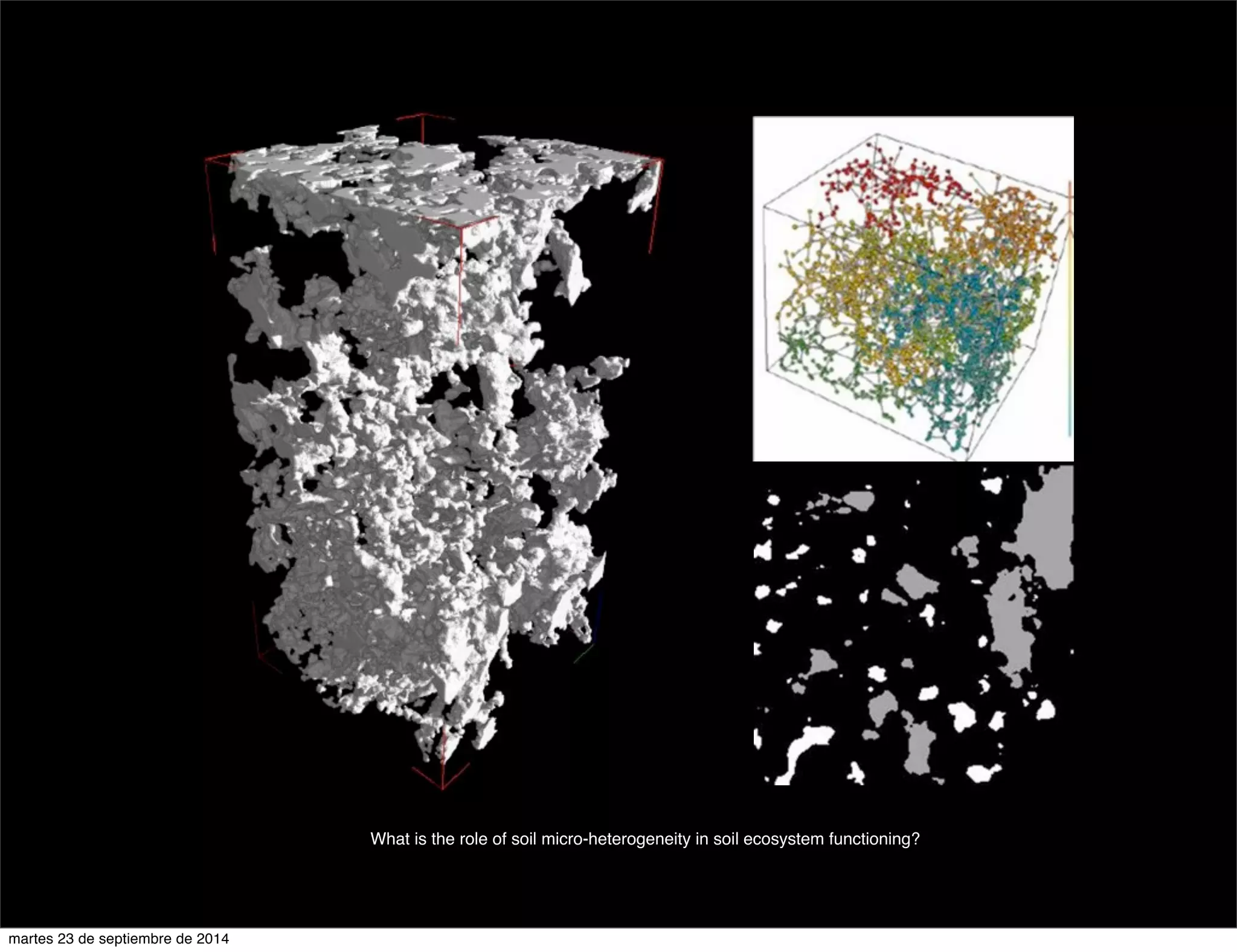 What is the role of soil micro-heterogeneity in soil ecosystem functioning? 
martes 23 de septiembre de 2014 
 