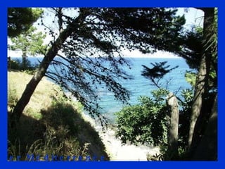 La mer Méditerranée  