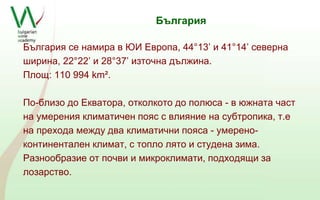 България 
България се намира в ЮИ Европа, 44°13’ и 41°14’ северна 
ширина, 22°22’ и 28°37’ източна дължина. 
Площ: 110 994 km². 
По-близо до Екватора, отколкото до полюса - в южната част 
на умерения климатичен пояс с влияние на субтропика, т.е 
на прехода между два климатични пояса - умерено- 
континентален климат, с топло лято и студена зима. 
Разнообразие от почви и микроклимати, подходящи за 
лозарство. 
 