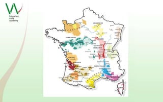 АБВ на виното – Франция 
 