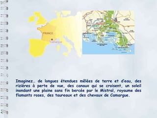 Imaginez… de longues étendues mêlées de terre et d’eau, des rizières à perte de vue, des canaux qui se croisent, un soleil inondant une plaine sans fin bercée par le Mistral, royaume des flamants roses, des taureaux et des chevaux de Camargue. 