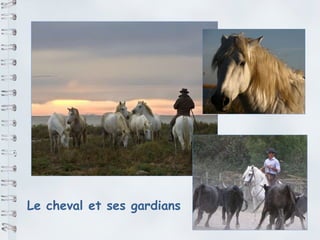 Le cheval et ses gardians 