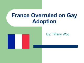 France Overruled on Gay Adoption By: Tiffany Woo 