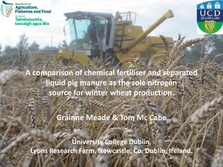 A comparison of chemical fertiliser and separated liquid pig manure as the sole nitrogen source for winter wheat production.Gráinne Meade & Tom Mc CabeUniversity College Dublin,Lyons Research Farm, Newcastle, Co. Dublin, Ireland. 