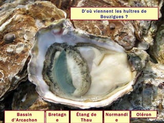 D’où viennent les huîtres de Bouzigues ? Étang de Thau Bassin d’Arcachon Normandie Bretagne Oléron 