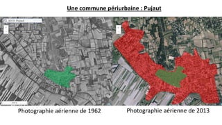 Une commune périurbaine : Pujaut
Photographie aérienne de 1962 Photographie aérienne de 2013
 