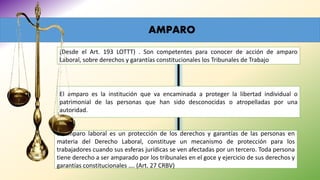 AMPARO
El amparo laboral es un protección de los derechos y garantías de las personas en
materia del Derecho Laboral, constituye un mecanismo de protección para los
trabajadores cuando sus esferas jurídicas se ven afectadas por un tercero. Toda persona
tiene derecho a ser amparado por los tribunales en el goce y ejercicio de sus derechos y
garantías constitucionales …. (Art. 27 CRBV)
El amparo es la institución que va encaminada a proteger la libertad individual o
patrimonial de las personas que han sido desconocidas o atropelladas por una
autoridad.
(Desde el Art. 193 LOTTT) . Son competentes para conocer de acción de amparo
Laboral, sobre derechos y garantías constitucionales los Tribunales de Trabajo
 