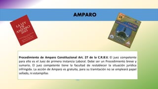 AMPARO
Procedimiento de Amparo Constitucional Art. 27 de la C.R.B.V. El juez competente
para ello es el Juez de primera instancia Laboral. Debe ser un Procedimiento breve y
sumario. El juez competente tiene la facultad de restablecer la situación jurídica
infringida. La acción de Amparo es gratuita, para su tramitación no se empleará papel
sellado, ni estampillas
 
