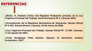 F rancelys presentacion laboral