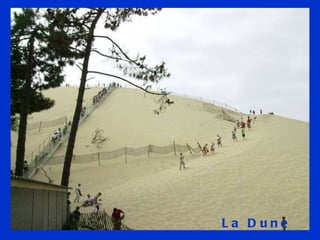 La Dune du Pyla