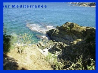 La mer Méditerranée