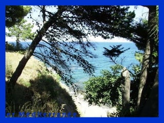 La mer Méditerranée