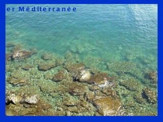 La mer Méditerranée