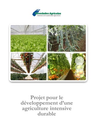 Projet pour le
développement d’une
agriculture intensive
      durable
 