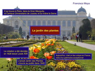 La création a été décidée  en 1626  sous Louis XIII Il se trouve à Paris: dans la Gran Mezquita, el Campus Universitario de Jussieu et la rivière la Seine Le jardin des plantes L'actuel Jardin des Plantes  s'ouvre au public dans 1640 Aujourd'hui, c'est un lieu unique en France, riche d'un patrimoine exceptionnel   Francisco Moya 