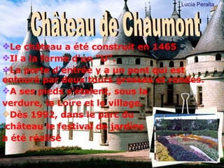 Le château a été construit en 1465 Il a la forme d'un "U". La porte d'entrée y a un pont qui est entouré par deux tours grosses et rondes. A ses pieds s'étalent, sous la  verdure, la Loire et le village. Dès 1992, dans le parc du château le festival de jardins  a été réalisé Château de Chaumont Luc ía Peralta 