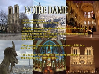 NOTRE DAME Daniela   Rabinovich Est la cathédrale de  l'archidiocèse catholilque de Paris Ce chef-doeuvre,l'un des symboles les plus connus de la capitale francaise, est situe a l'extrémité de l'ile de la Cité,centre historiques de la la ville,tout près des berges  de la Seine Pour arriver vous pouvez prendre le m ètro, RER, bus RATP et Vélib. Il y a pour contempler: les gargouilles et les sculptures chim ér i ques. 