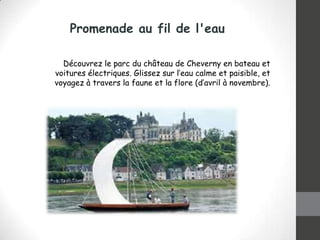 Promenade au fil de l'eau
Découvrez le parc du château de Cheverny en bateau et
voitures électriques. Glissez sur l’eau calme et paisible, et
voyagez à travers la faune et la flore (d’avril à novembre).

 