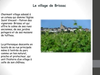 Le village de Brissac
Charmant village adossé à
un coteau qui domine l’église
Saint Vincent – Patron des
vignerons- Brissac et qui
offre le calme de ses rues
anciennes, de ses jardins
potagers et de ses maisons
de tuffeau.
La pittoresque descente en
lacets de sa rue principale
mène à l’entrée du parc
comme un lien naturel,
proche et protecteur, qui
unit l’histoire d’un village à
celle de son château.

 
