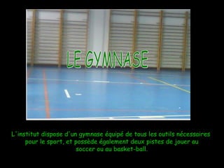 L'institut dispose d'un gymnase équipé de tous les outils nécessaires pour le sport, et possède également deux pistes de jouer au soccer ou au basket-ball. LE GYMNASE 